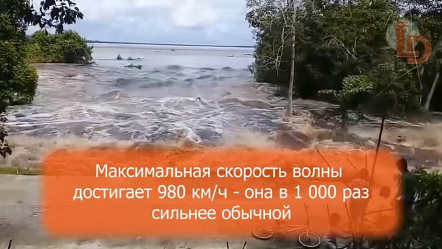 8 интересных фактов про … цунами / Давайте мечтать вместе! смотреть онлайн