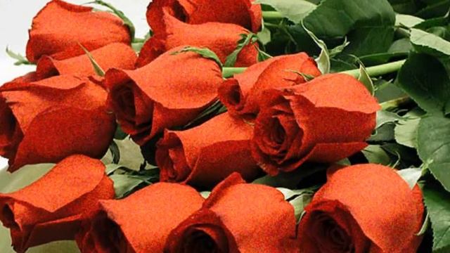 Красивая музыка и цветы для души!!! смотреть онлайн