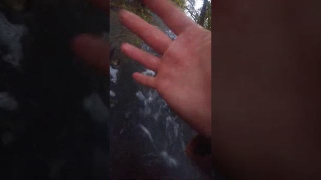 Прогулка по реке рожайка ! смотреть онлайн