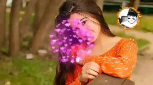 ЭНГ МАНОЛИ ДАРДЛИ😥 ВА АЛАМЛИ 😥 КУШИКЛАР ТУПЛАМИ  , ЗУР АШУЛАЛАР ТЕРМА ⚘