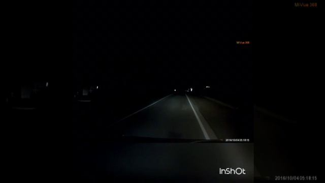 Тигр бегает по улицам неподалеку от Владивостока смотреть онлайн