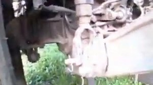 Ремонт задней навески на МТЗ 82.1