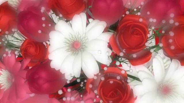 V1815.mov смотреть онлайн