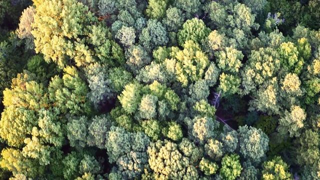 Kennesaw Mountain Drone Footage Kennesaw, GA 4K смотреть онлайн