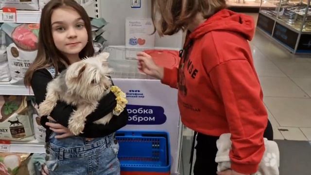 Минутка из жизни. Дети учатся милосердию через помощь животным. смотреть онлайн