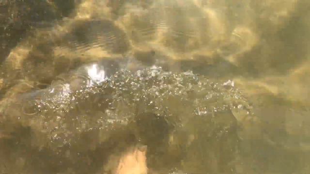 Турпоездка на берег водохранилища смотреть онлайн