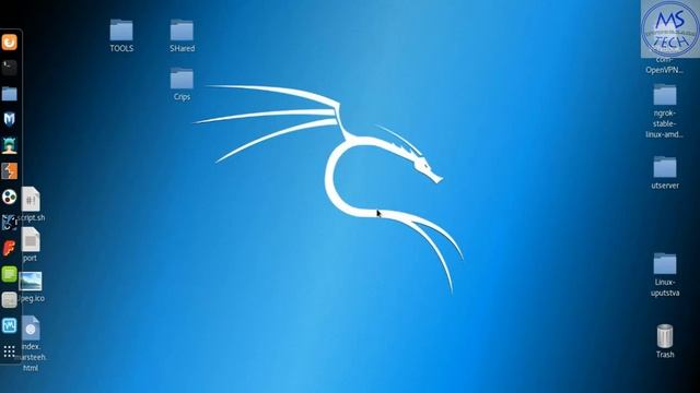 Crips IP Tools (get quickly information about IP, Web Pages, DNS...) | Kali Linux 2017.3 смотреть онлайн