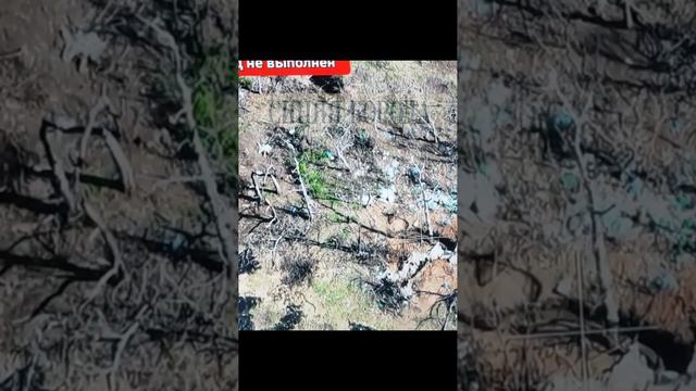 Бег на скорость от всушника смотреть онлайн