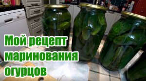 Маринуем огурцы