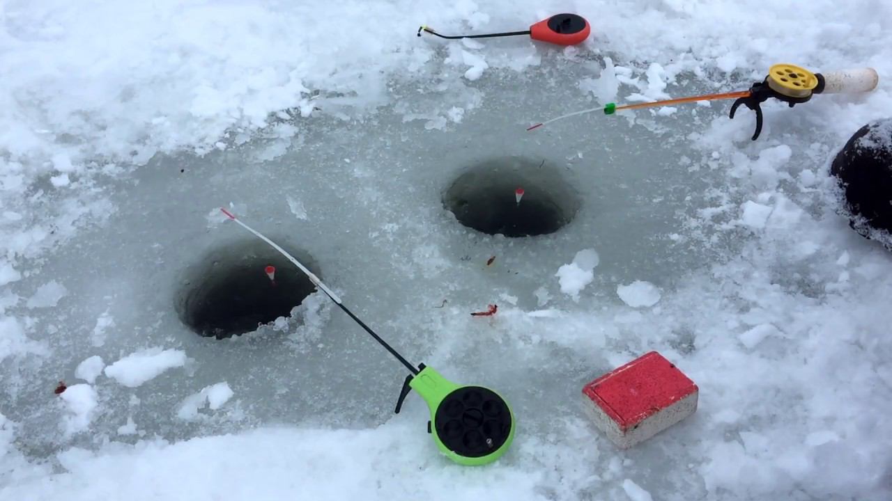 Поиск плотвы на оке,ловля на поплавок в затонах! смотреть онлайн