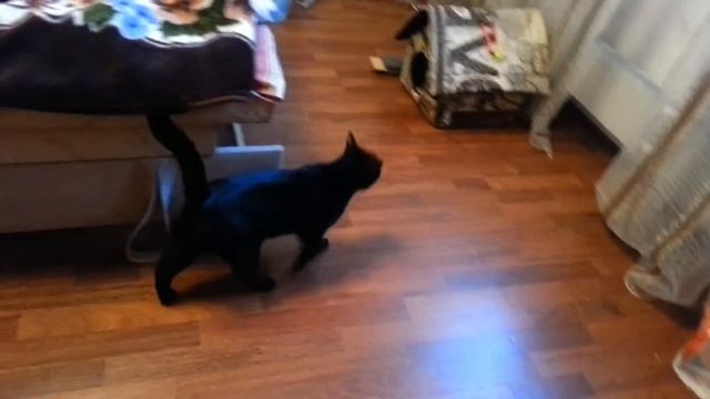 Вызов принят колючий, коврик смотреть онлайн