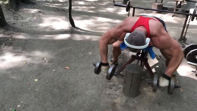 задние дельты смотреть онлайн