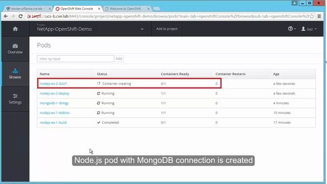 Build and deploy applications with OpenShift on FlexPod смотреть онлайн