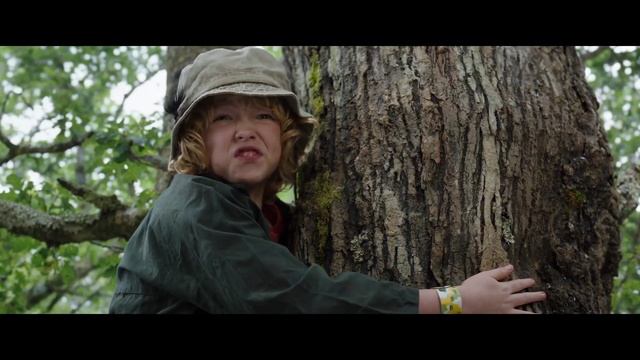 Кокаиновый медведь (2023) рус трейлер смотреть онлайн