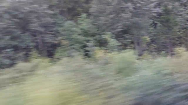 Петрозаводск (Petroskoi) - Свирь - Подпорожье. Ласточка Петрозаводск( Petroskoi) - Санкт-Петербург.