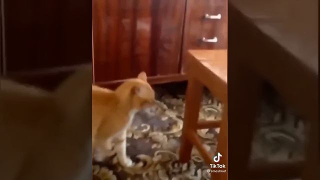 мем да хто його знає який смотреть онлайн