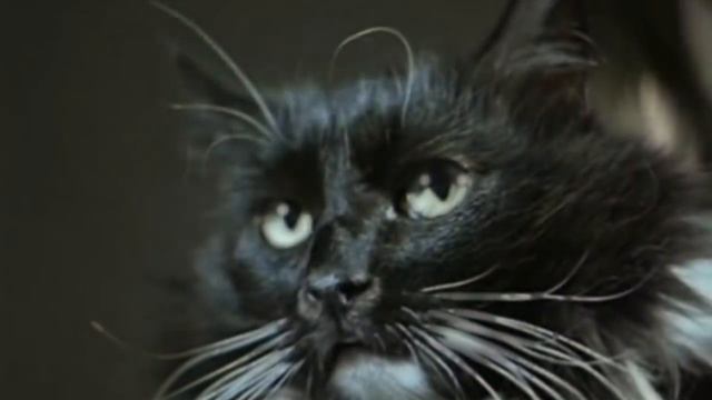 ВЫРЕЗАННЫЕ ЦЕНЗУРОЙ СЦЕНЫ из советского кино. Часть 2. смотреть онлайн