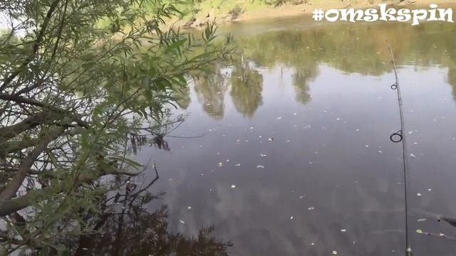 OmskSpin #102. Рыбалка на р. Тара в Муромцевском районе. Два дня на омутах, поворотах и ямах реки.