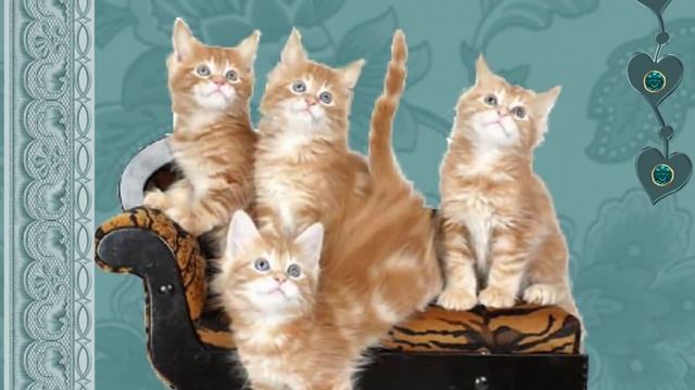 Котята смотреть онлайн