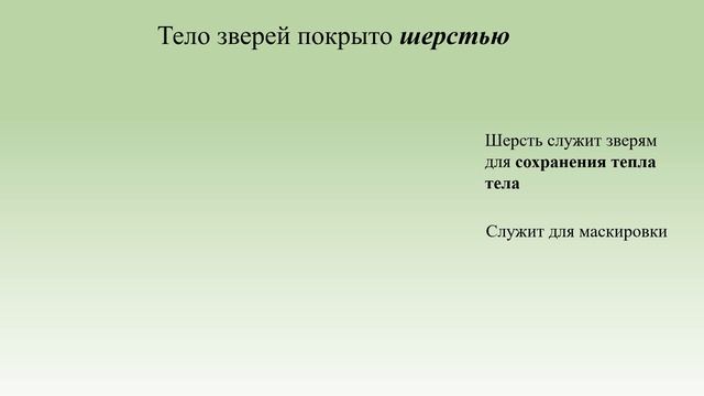 Видеоурок кто такие звери смотреть онлайн