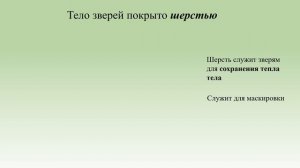 Видеоурок   кто такие звери