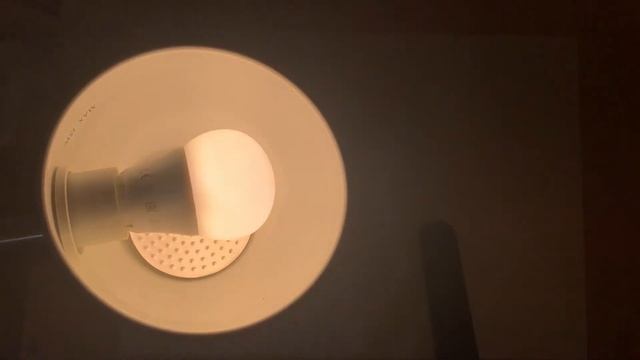 Вращение плоскости поляризации (Опыт в домашних условиях) смотреть онлайн