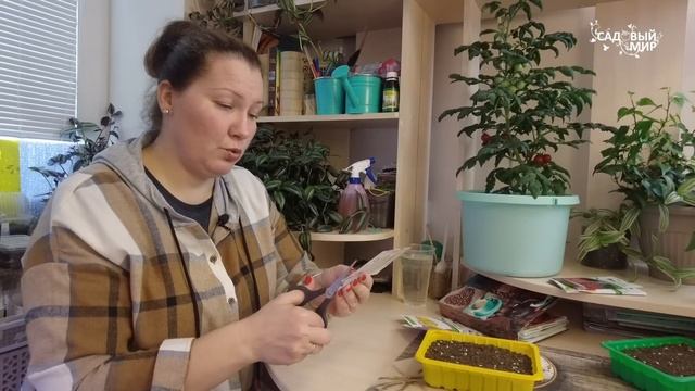 ВЫСОКОРОСЛЫЕ ТОМАТЫ ДЛЯ ТЕПЛИЦ УЖЕ МОЖНО СЕЯТЬ. Наилучшие сорта высокорослых томатов смотреть онлайн