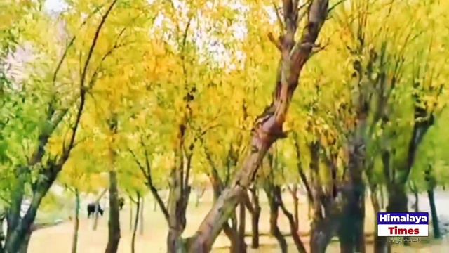 Manthokha Baltistan #himalaya_times_pk #manthokha смотреть онлайн