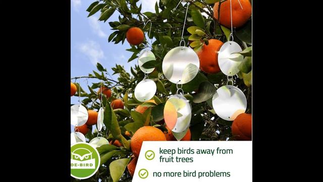 Bird Repellent Disks| Bird Proof Your Property In Minutes From Woodpeckers, Pigeons, Grackles & Mor смотреть онлайн