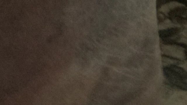 M2U01447 смотреть онлайн