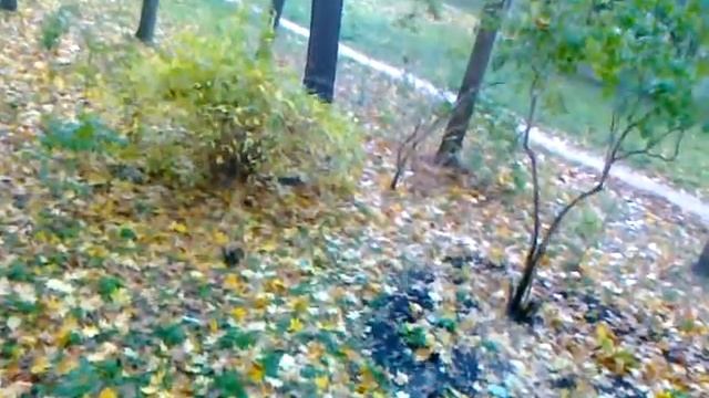 Осень за моим окном смотреть онлайн