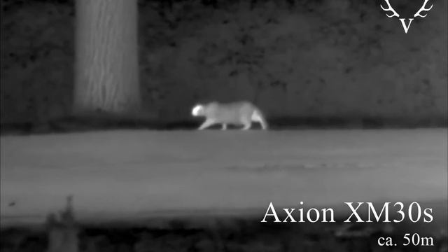 Pulsar Axion Xm30s: Leistungen - Katze auf 50 Meter смотреть онлайн
