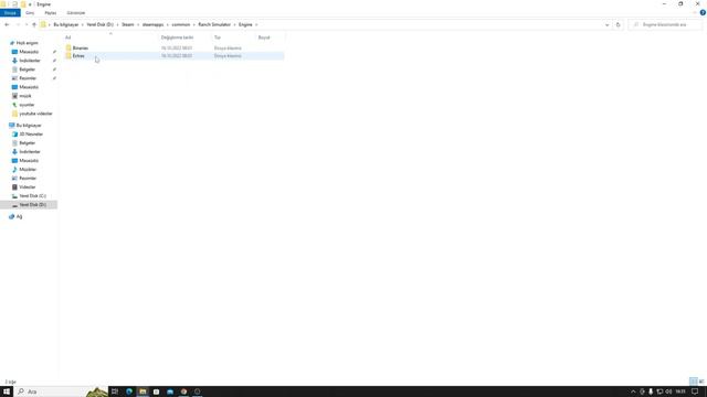 Epic games Ranch simulatör Fatal error hatası düzeltildi #lewooffical смотреть онлайн