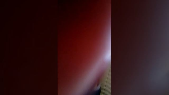 ПРИСТАВЫ ВЗБЕСИЛИСЬ.. 17.01.17 Красноярск смотреть онлайн