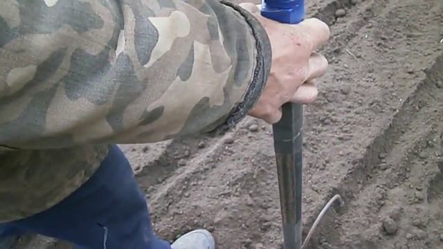 посадка озимого чеснока "Любаша" ручной сажалкой смотреть онлайн
