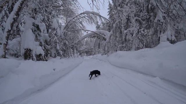 Полюдов камень смотреть онлайн
