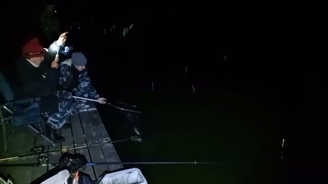 Осётр делает свечи смотреть онлайн