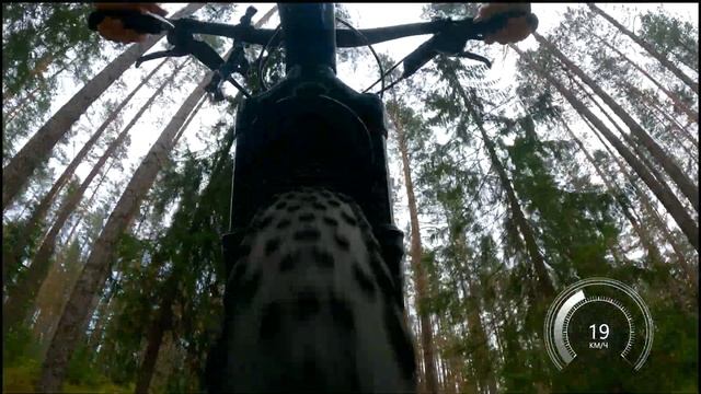 Работа вилки RockShox Reba RL 29