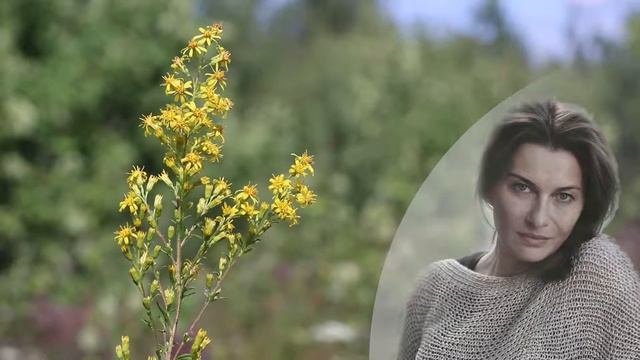 Изменение реальности при погружении в стихию Земли смотреть онлайн