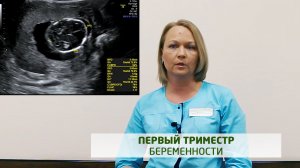 1 триместр беременности, Янчевская Ю.К.