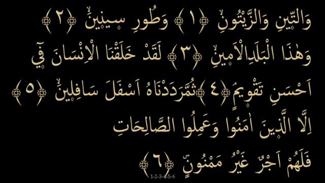 Выучите Коран наизусть | Каждый аят по 10 раз 🌼| Сура 95 "Ат-Тин" смотреть онлайн