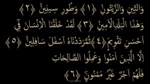 Выучите Коран наизусть | Каждый аят по 10 раз 🌼| Сура 95 "Ат-Тин"