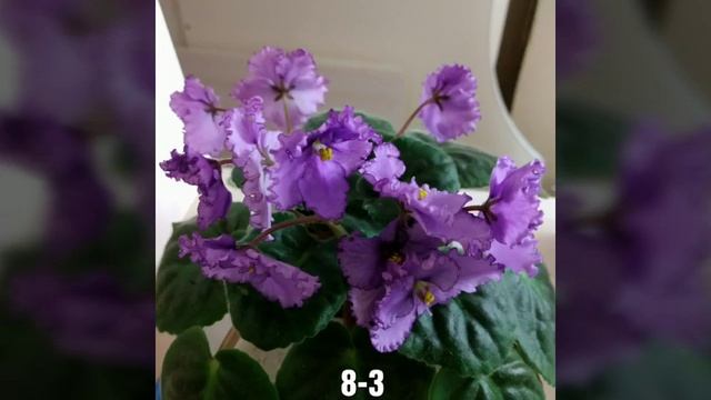 С праздником 8-3 смотреть онлайн