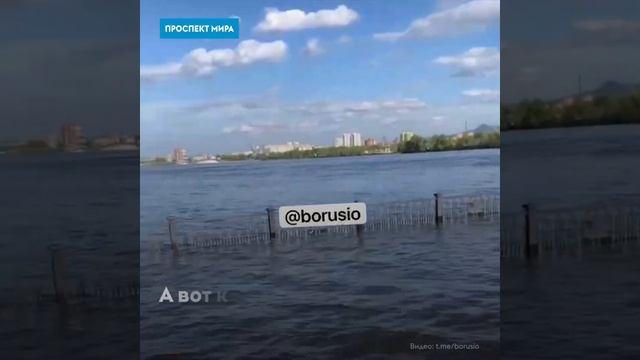 Аквапарк на затопленной набережной в Красноярске. Весла, моторки, экстрим и катание на фламинго смотреть онлайн