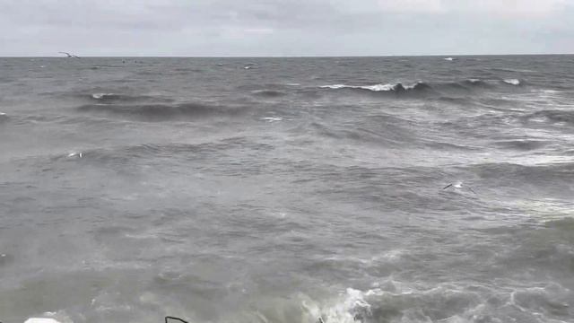 Баку.Источник.Derya Baliq Evi.Рыбный ресторан.