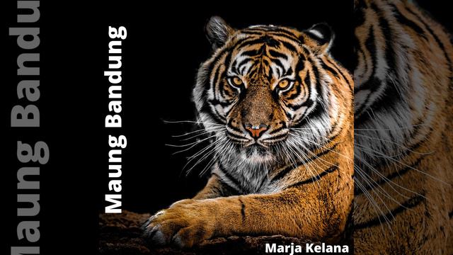 Maung Bandung смотреть онлайн