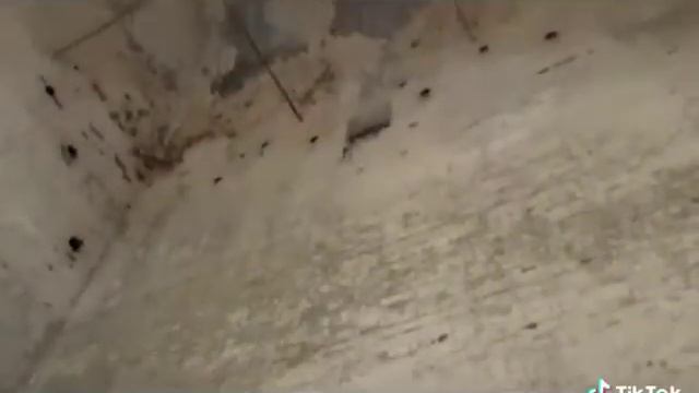 Архитектурная жемчужина России. Храм Димитрия Солунского в селе Морево. смотреть онлайн