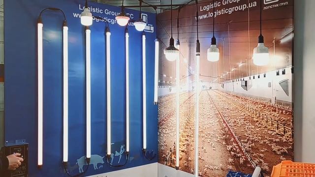 Освещение птичников под ключ! Освещение бройлеров смотреть онлайн