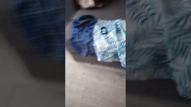 обзор дома чееееек смотреть онлайн