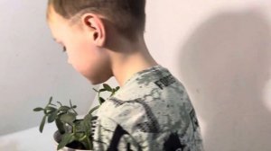 Окружающий мир. Практическая работа Как ухаживать за растениями